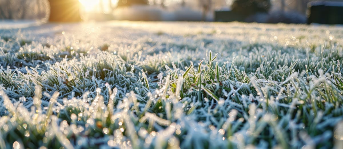 Impact du froid sur la performance et la santé des footballeurs